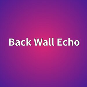 Back Wall Echo 감소가 나타나는 주요 원인 분석 3 back wall echo 1786464044