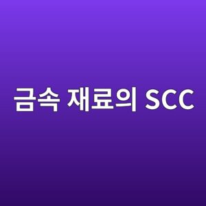 금속 재료의 SCC와 Fatigue Crack을 비파괴검사로 구분하는 방법 1 eab888ec868d ec9eaceba38cec9d98 scc 1786465518